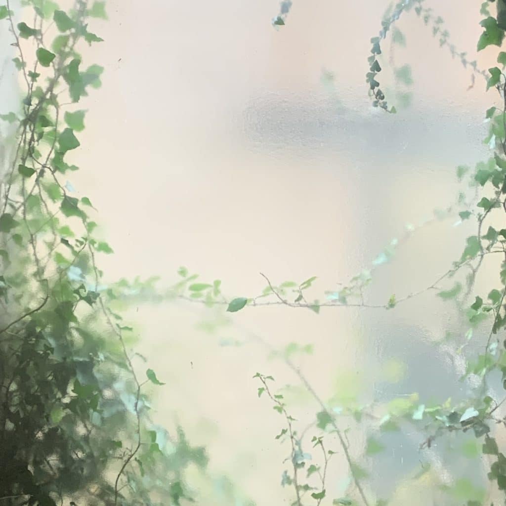 Le printemps à la fenêtre
